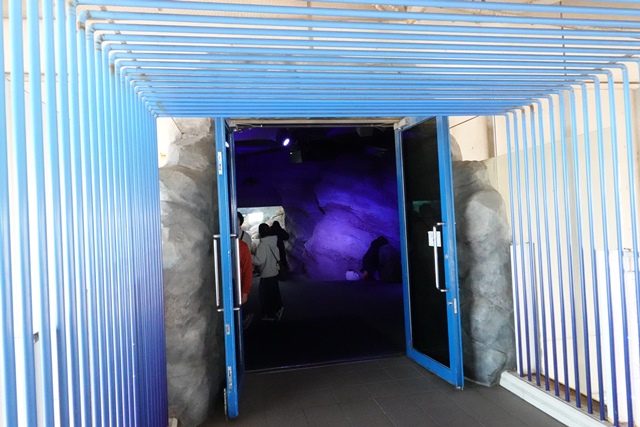 f:id:umi3049jp:20220104211918j:plain