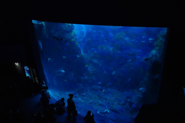 f:id:umi3049jp:20220104212002j:plain