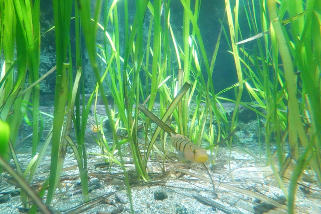 f:id:umi3049jp:20220104212031j:plain