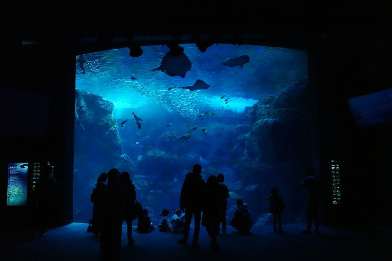 f:id:umi3049jp:20220104212415j:plain