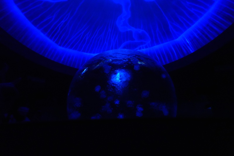 f:id:umi3049jp:20220104212615j:plain