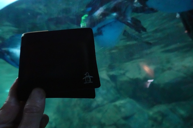 f:id:umi3049jp:20220104213000j:plain