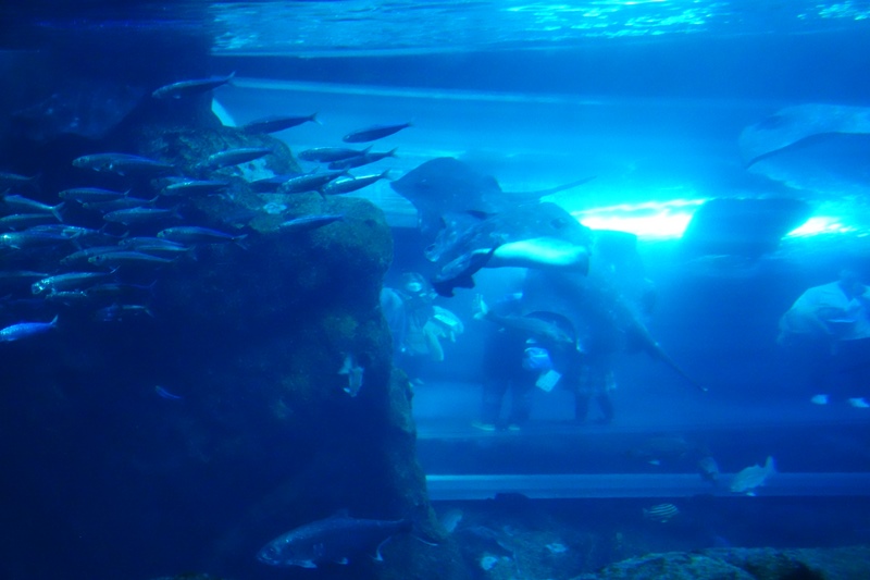 f:id:umi3049jp:20220106225242j:plain