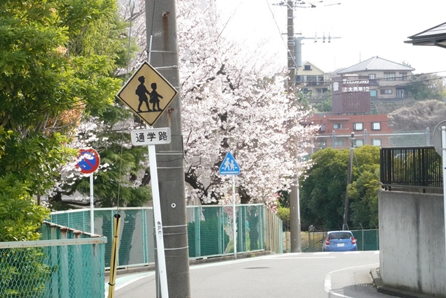 f:id:umi3049jp:20220331185118j:plain