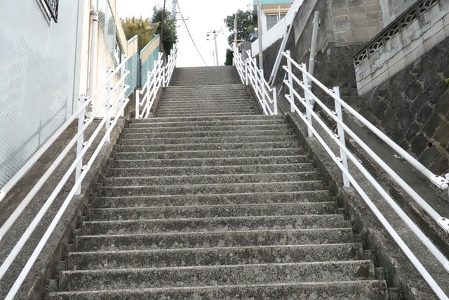 f:id:umi3049jp:20220331185141j:plain