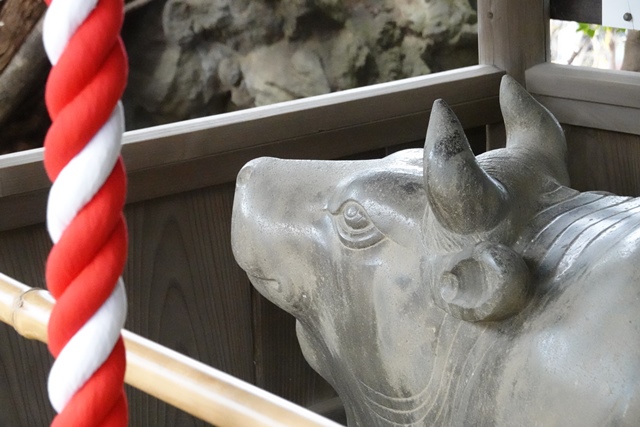 f:id:umi3049jp:20220331185230j:plain