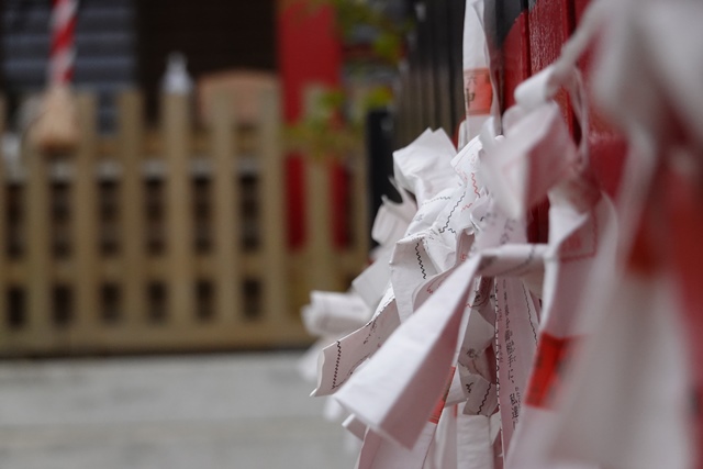 f:id:umi3049jp:20220331185316j:plain