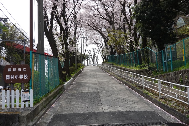 f:id:umi3049jp:20220331185413j:plain