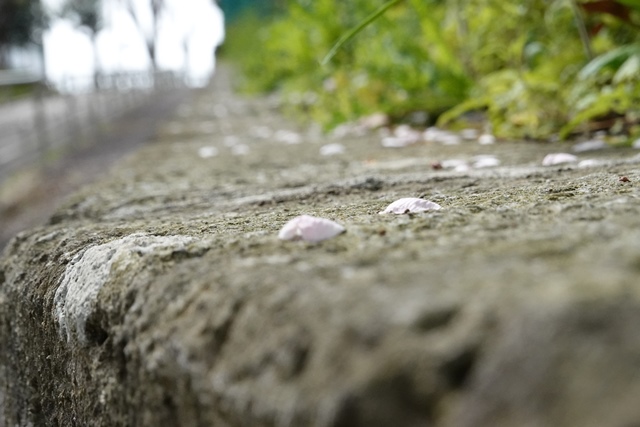 f:id:umi3049jp:20220331185426j:plain