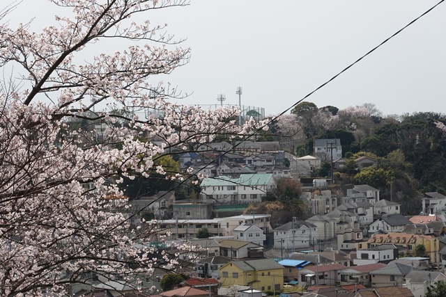 f:id:umi3049jp:20220331185451j:plain