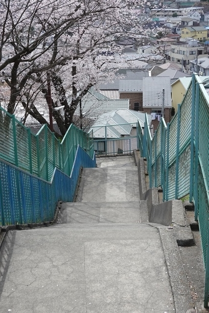 f:id:umi3049jp:20220331185509j:plain