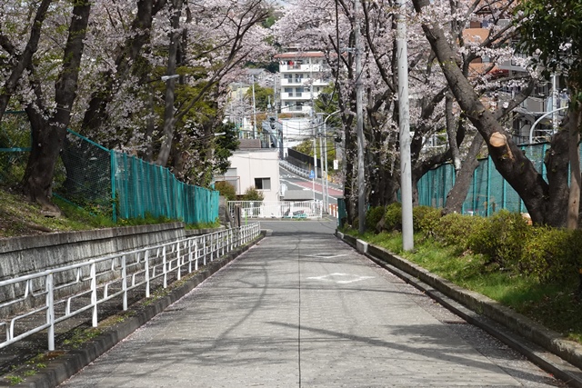 f:id:umi3049jp:20220331185518j:plain