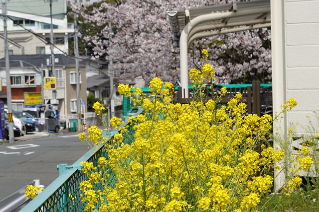 f:id:umi3049jp:20220331185541j:plain