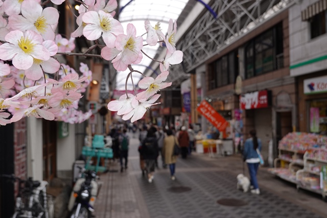 f:id:umi3049jp:20220331185620j:plain