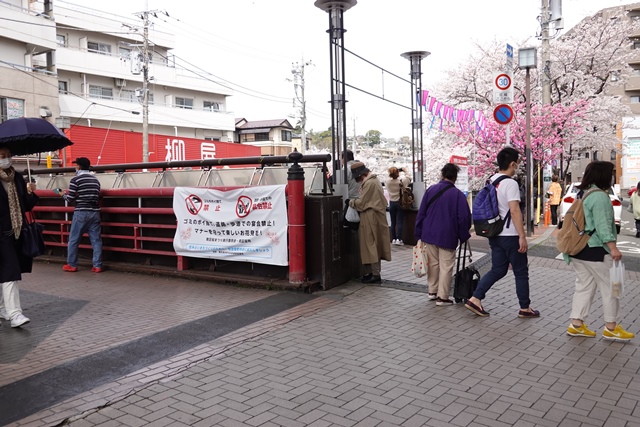 f:id:umi3049jp:20220331185708j:plain