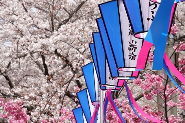 f:id:umi3049jp:20220331185801j:plain