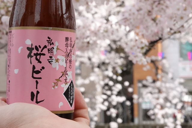 f:id:umi3049jp:20220331185835j:plain