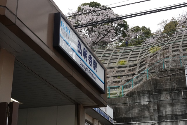 f:id:umi3049jp:20220331185955j:plain