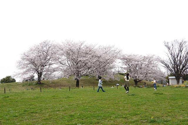 f:id:umi3049jp:20220331190107j:plain