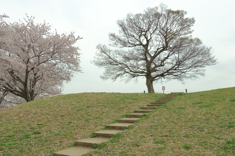 f:id:umi3049jp:20220331190158j:plain