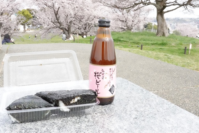 f:id:umi3049jp:20220331190209j:plain