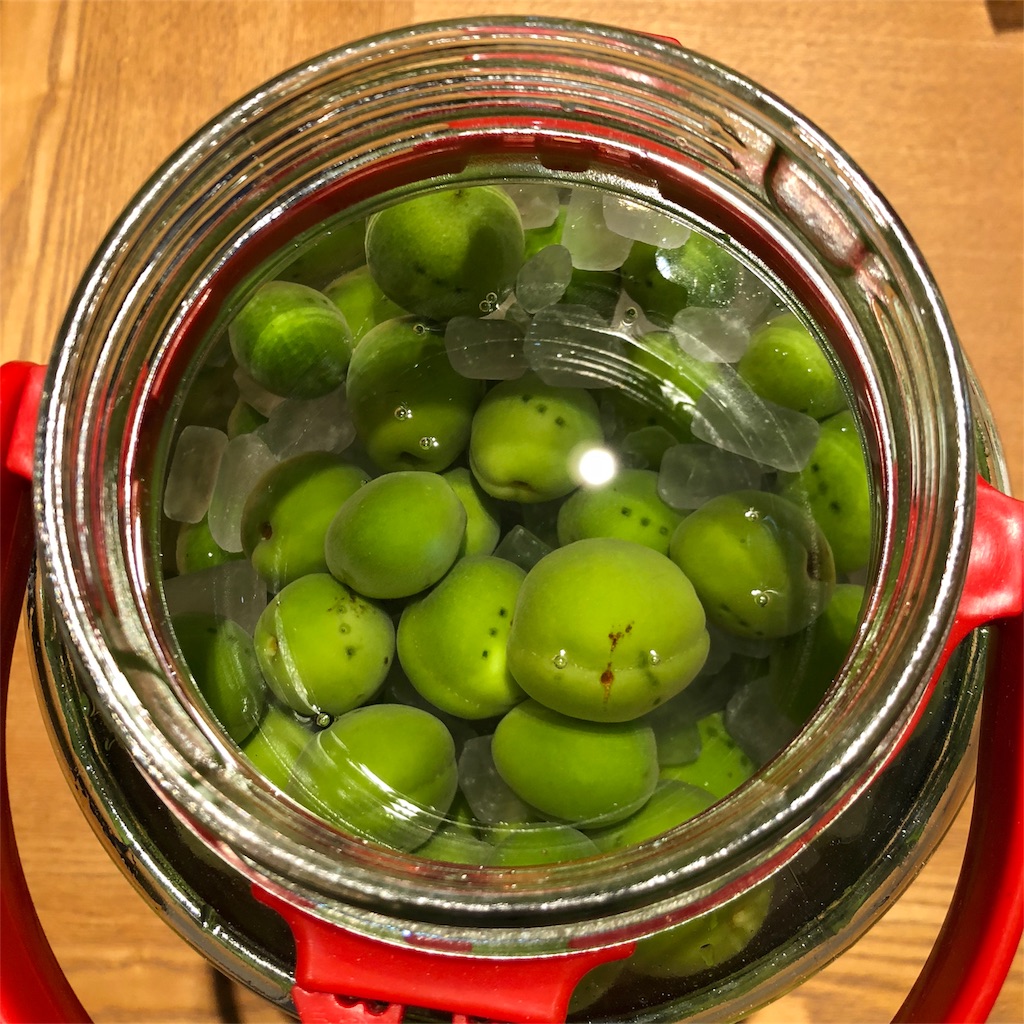 f:id:umi_challenge:20180606001944j:image f:id:umi_challenge:20180606001944j:image
