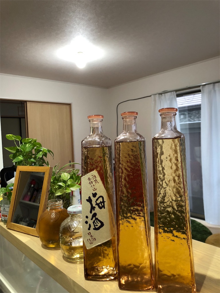 f:id:umi_challenge:20180623174028j:image f:id:umi_challenge:20180623174028j:image
