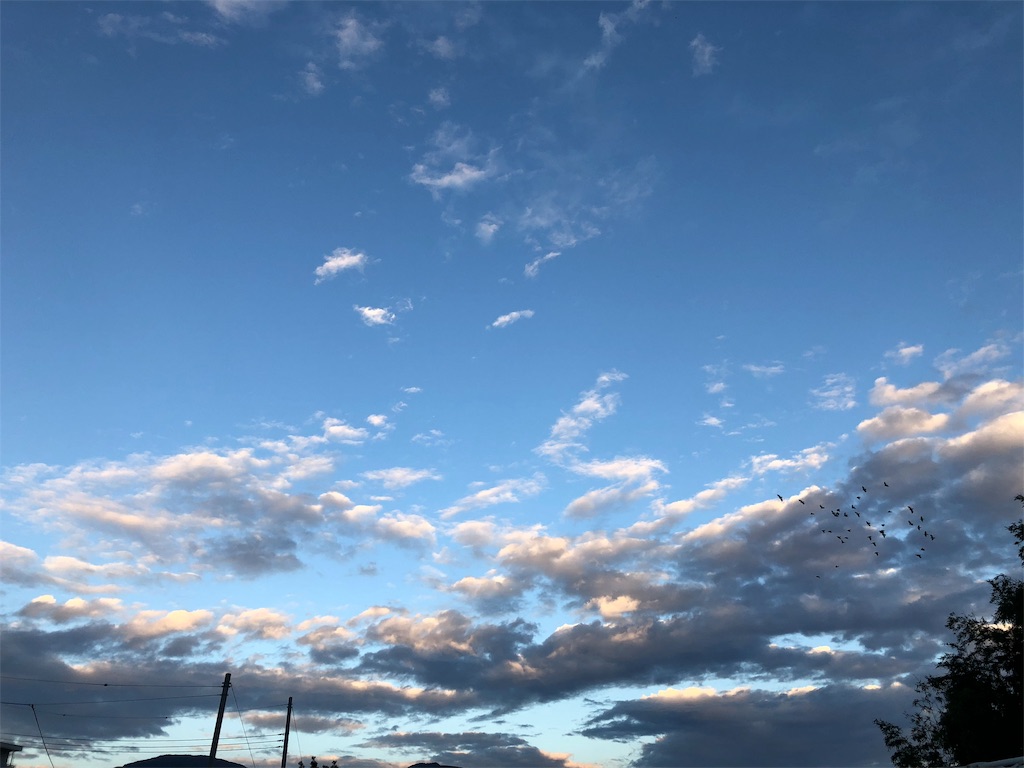 f:id:umi_challenge:20181023223556j:image f:id:umi_challenge:20181023223556j:image
