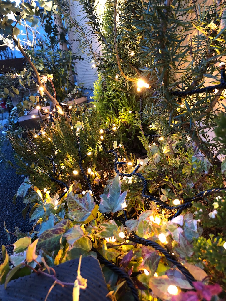 f:id:umi_challenge:20181203214921j:image f:id:umi_challenge:20181203214921j:image