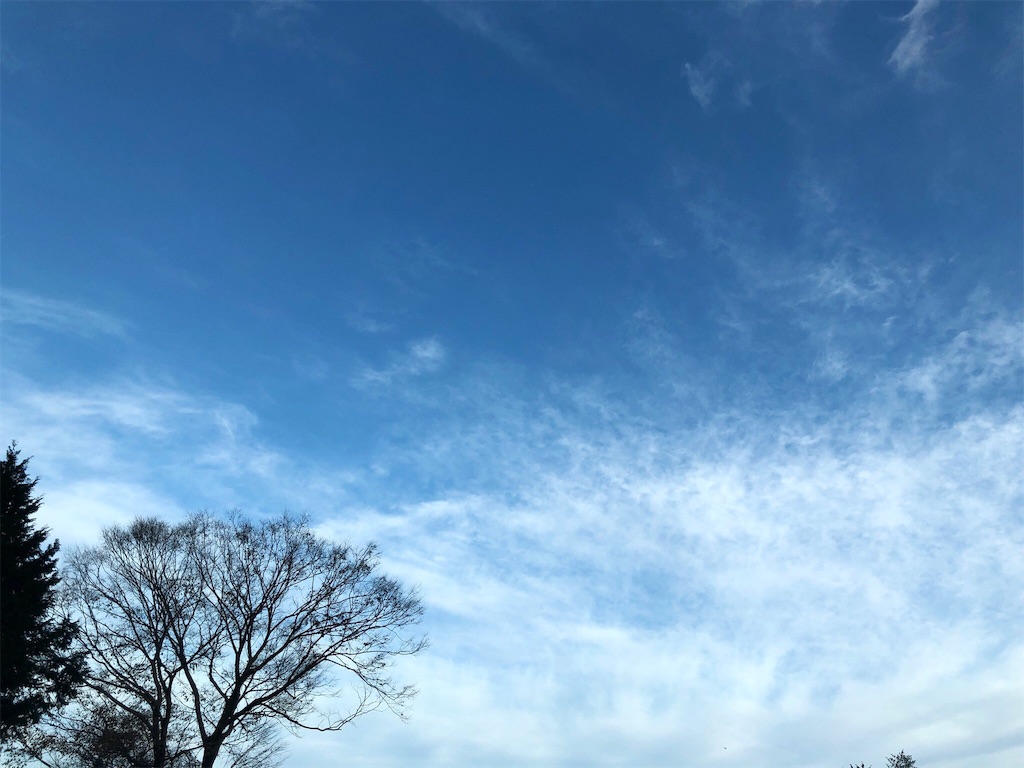 f:id:umi_challenge:20181213001138j:image f:id:umi_challenge:20181213001138j:image