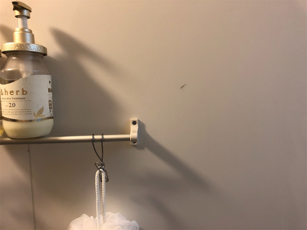 f:id:umi_challenge:20190126225438j:image f:id:umi_challenge:20190126225438j:image