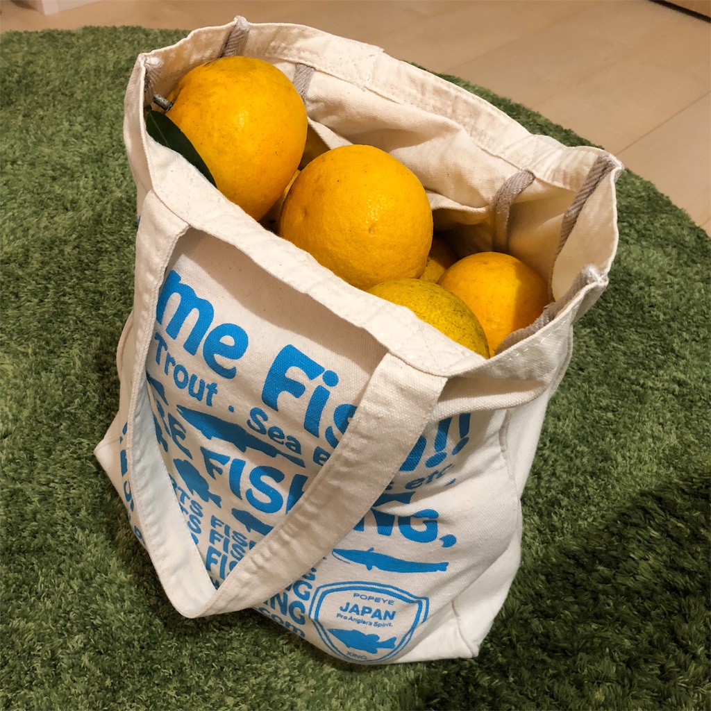 f:id:umi_challenge:20190215160146j:image f:id:umi_challenge:20190215160146j:image