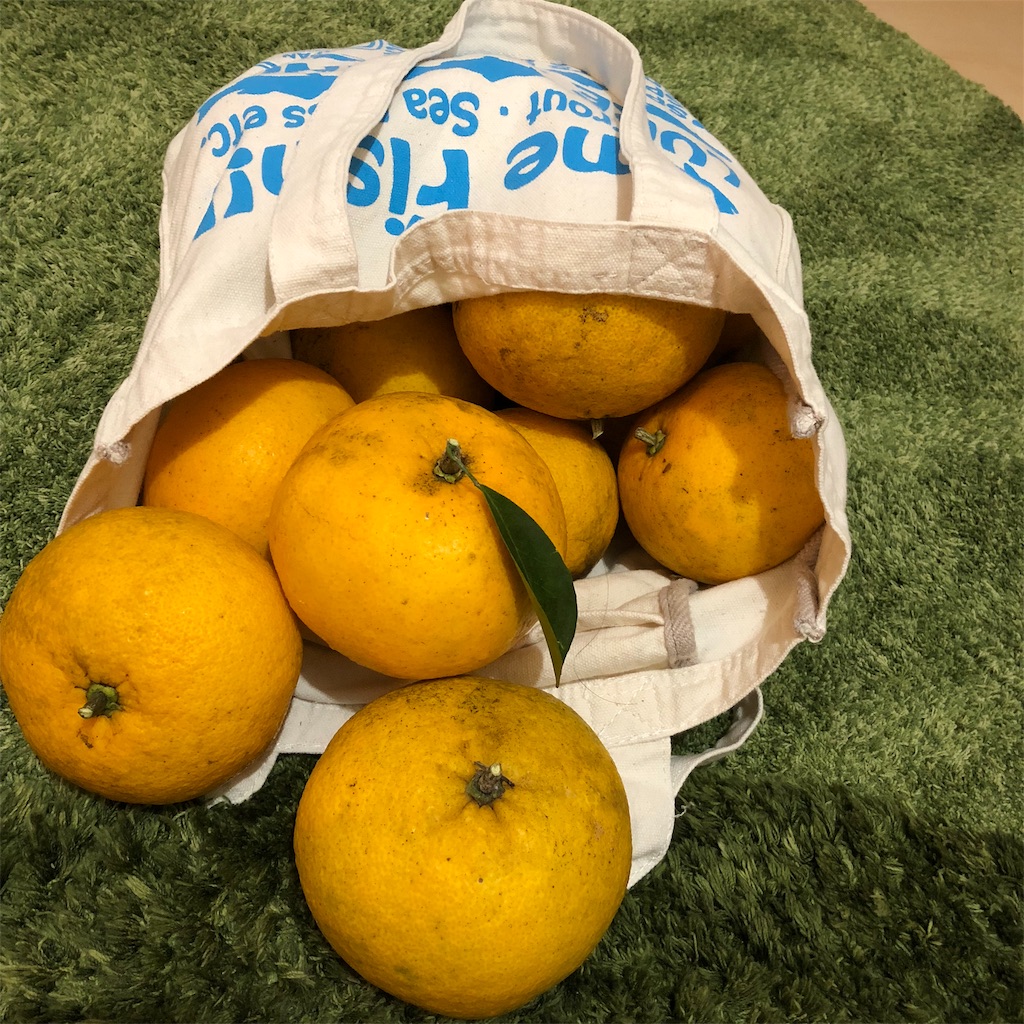 f:id:umi_challenge:20190215160208j:image f:id:umi_challenge:20190215160208j:image
