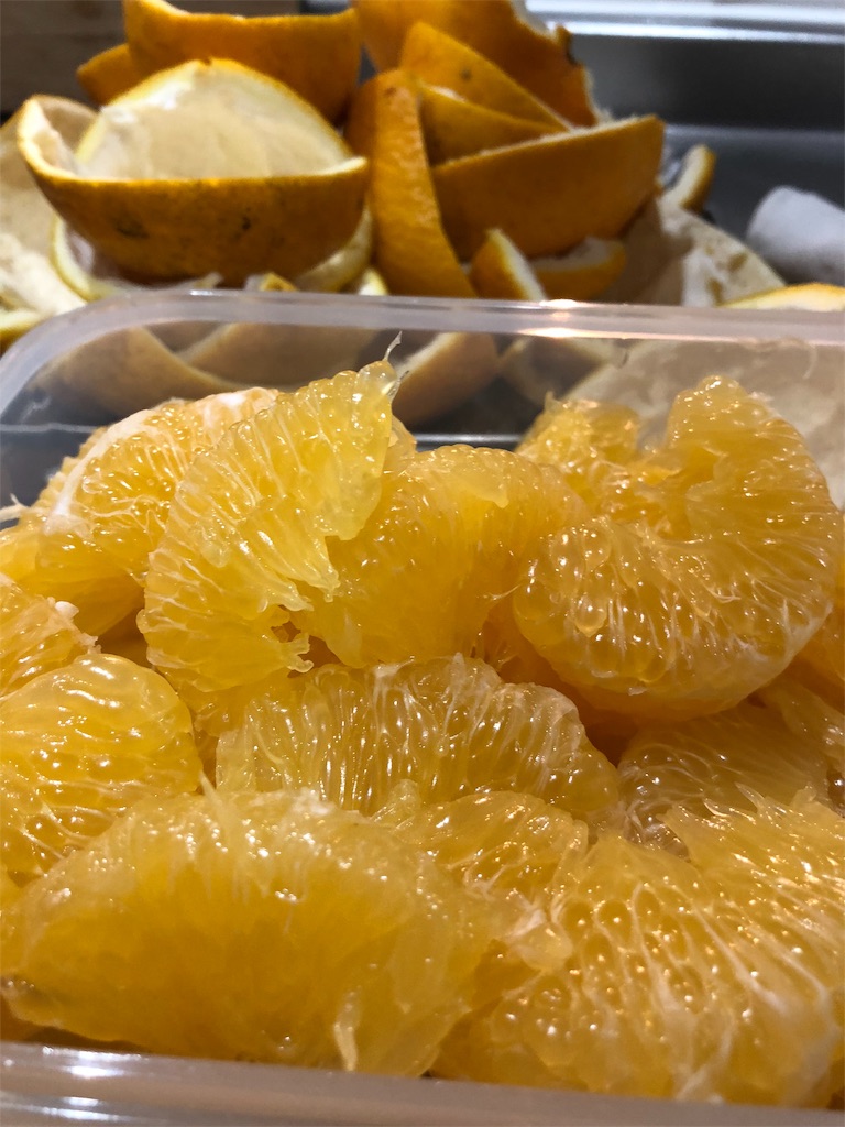 f:id:umi_challenge:20190215160218j:image f:id:umi_challenge:20190215160218j:image