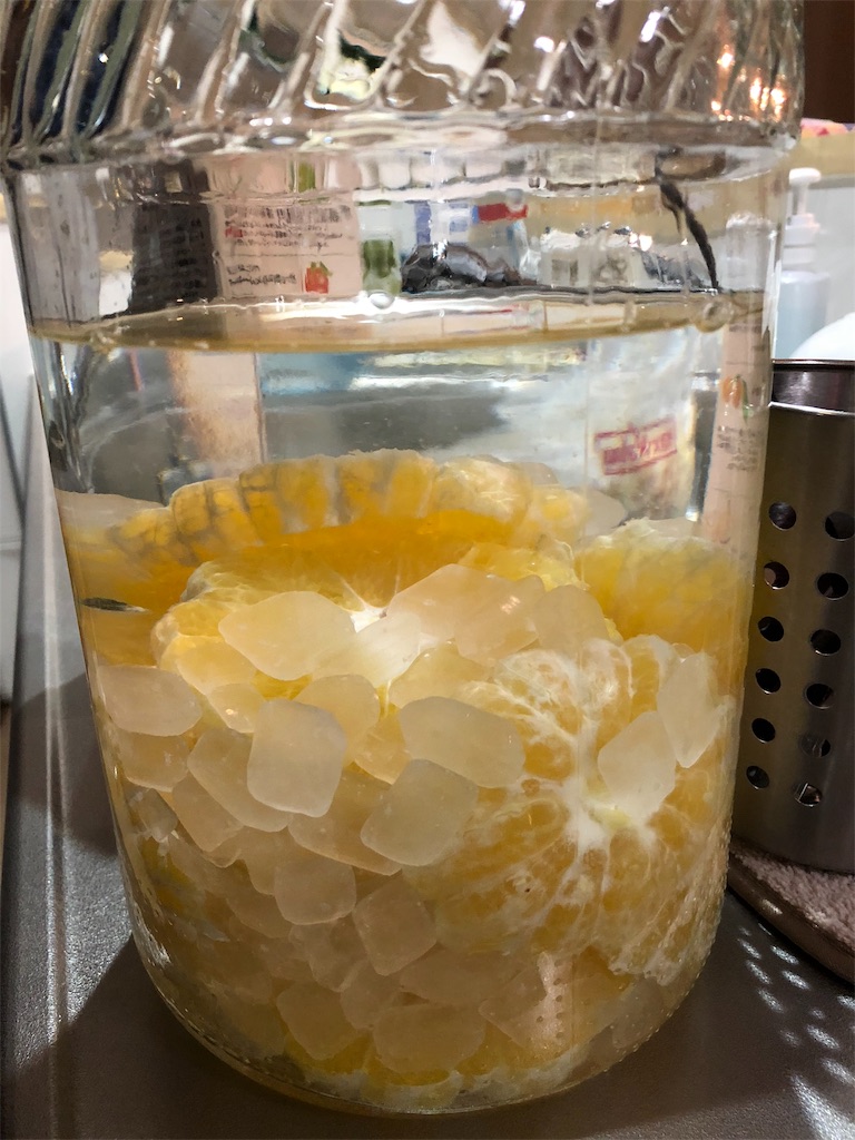 f:id:umi_challenge:20190215161758j:image f:id:umi_challenge:20190215161758j:image