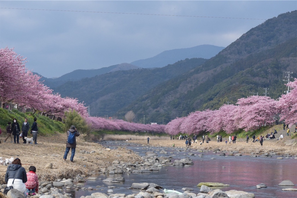 f:id:umi_challenge:20190223223506j:image f:id:umi_challenge:20190223223506j:image