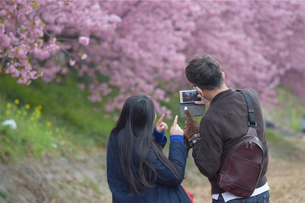 f:id:umi_challenge:20190223223525j:image f:id:umi_challenge:20190223223525j:image