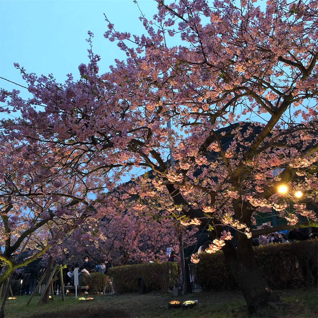 f:id:umi_challenge:20190223230844j:image f:id:umi_challenge:20190223230844j:image