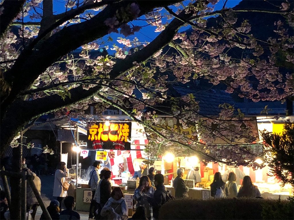 f:id:umi_challenge:20190223230850j:image f:id:umi_challenge:20190223230850j:image