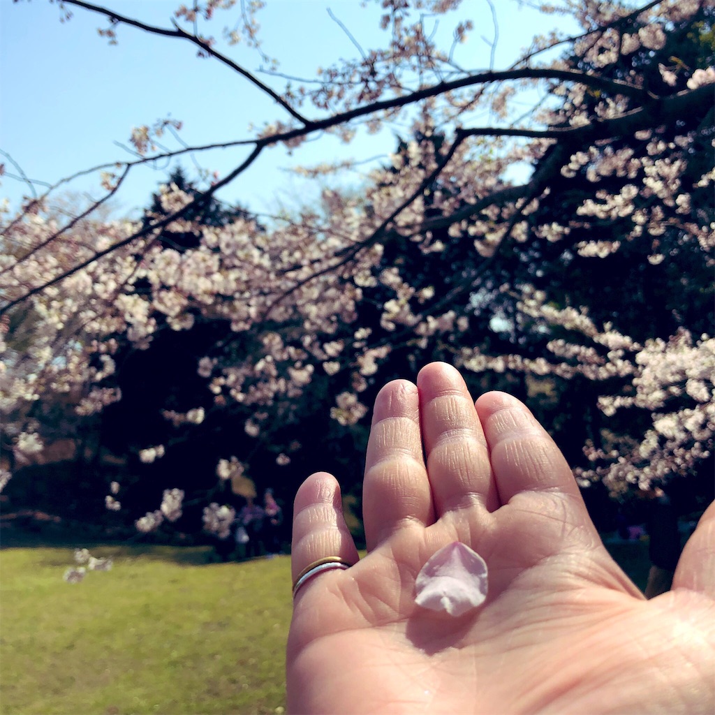 f:id:umi_challenge:20190406165128j:image f:id:umi_challenge:20190406165128j:image