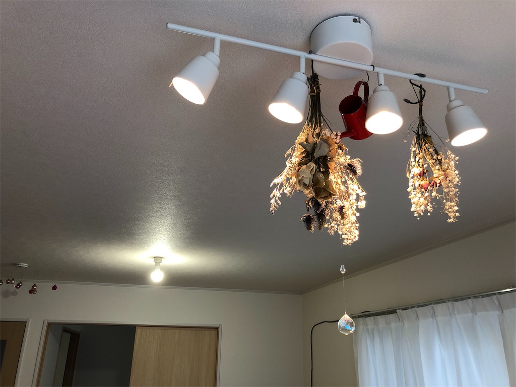 f:id:umi_challenge:20190429092521j:image f:id:umi_challenge:20190429092521j:image