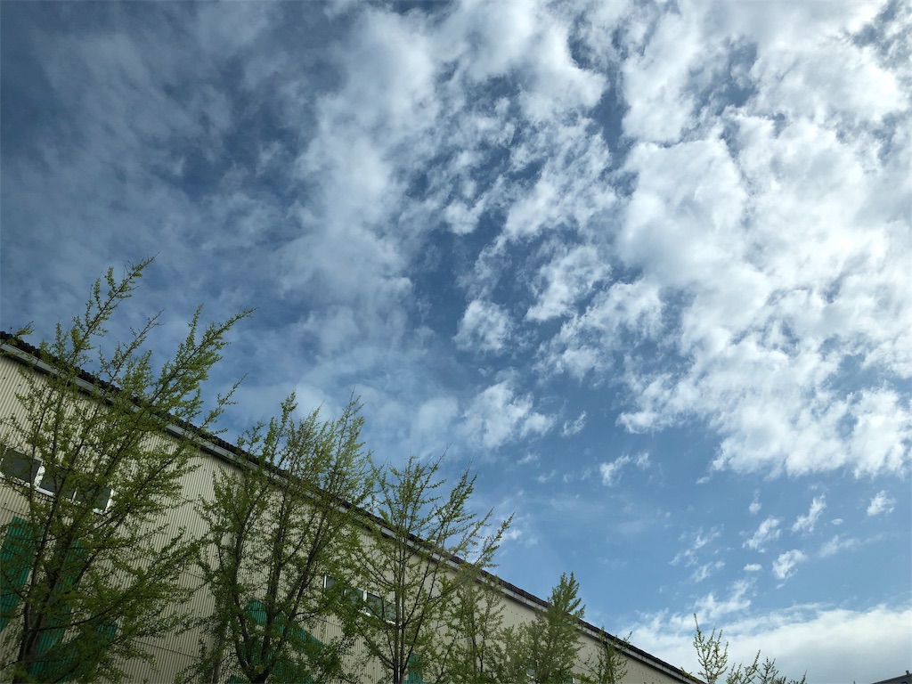 f:id:umi_challenge:20190429092643j:image f:id:umi_challenge:20190429092643j:image
