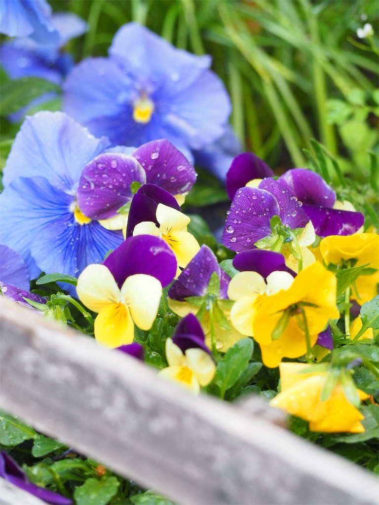 f:id:umi_challenge:20210613210440j:image f:id:umi_challenge:20210613210440j:image