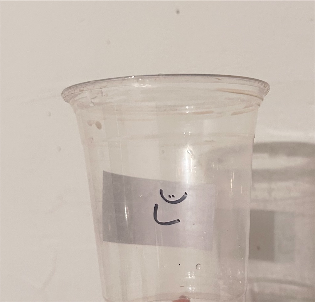 f:id:umibaru:20251023230150j:image