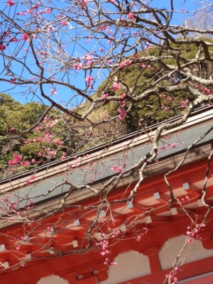 f:id:umichan0622:20120217155155j:image f:id:umichan0622:20120217155155j:image
