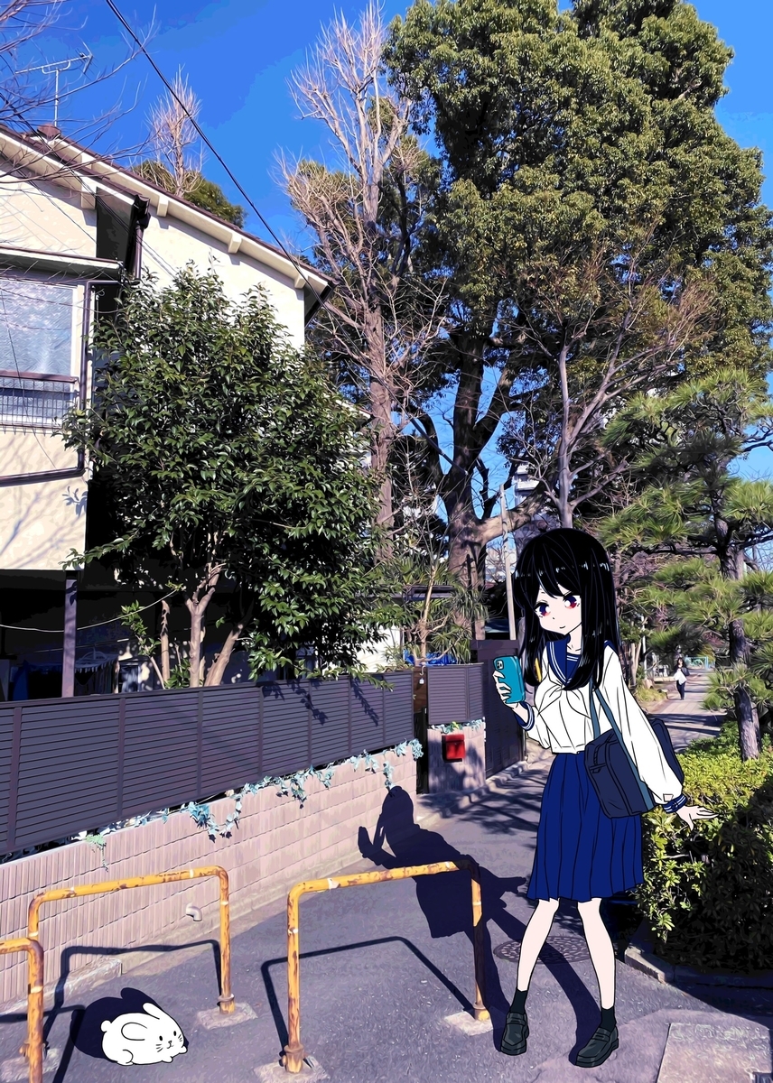 f:id:umigame4066:20200211234825j:plain