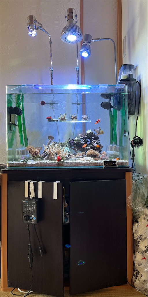 volx japan グラッシーレディオRX121s リーフ 水槽用海水 ライト