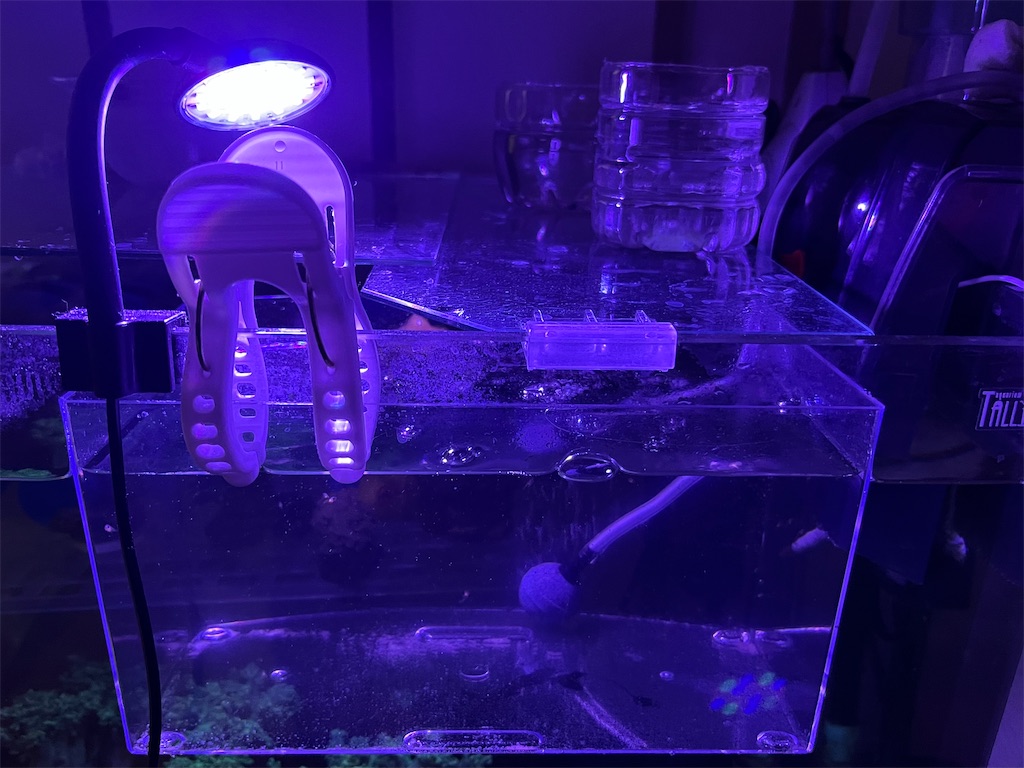 f:id:umigasukix:20251206230632j:image