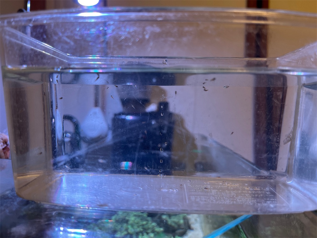 f:id:umigasukix:20251213205117j:image