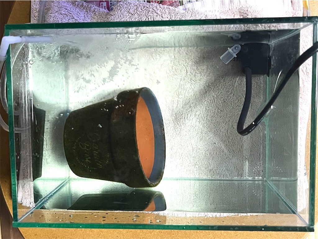 f:id:umigasukix:20251213211111j:image